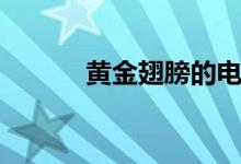 黃金翅膀的電視劇（黃金翅膀）