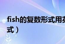 fish的復(fù)數(shù)形式用英語(yǔ)怎么寫（fish的復(fù)數(shù)形式）