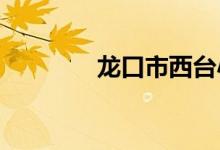 龍口市西臺小學的地址在哪