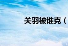 關(guān)羽被誰克（關(guān)羽被誰殺死的）