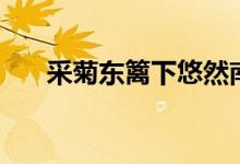 采菊東籬下悠然南山全詩（采菊東籬）