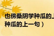 也傍桑陰學(xué)種瓜的上一句怎么讀（也傍桑陰學(xué)種瓜的上一句）