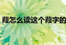 葭怎么讀這個(gè)葭字的意思是什么（葭怎么讀）