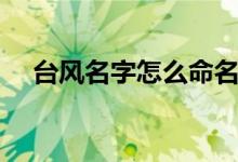 臺(tái)風(fēng)名字怎么命名的（臺(tái)風(fēng)怎么起名字）