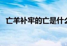 亡羊補牢的亡是什么意思(亡羊補牢的亡)