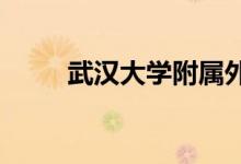 武漢大學附屬外語學校的地址在哪