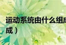 運動系統(tǒng)由什么組成填空（運動系統(tǒng)由什么組成）