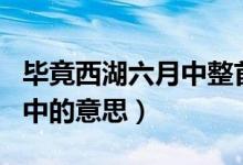 畢竟西湖六月中整首詩(shī)的意思（畢竟西湖六月中的意思）