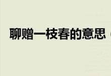 聊贈(zèng)一枝春的意思（聊贈(zèng)一枝春的上一句）
