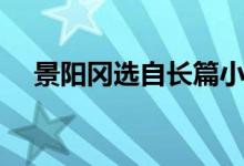 景陽岡選自長篇小說什么（景陽岡選自）