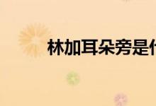 林加耳朵旁是什么字(郴的讀音)