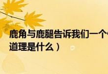 鹿角與鹿腿告訴我們一個什么道理（鹿角和鹿腿告訴我們的道理是什么）