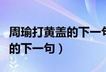 周瑜打黃蓋的下一句諺語歇后語（周瑜打黃蓋的下一句）