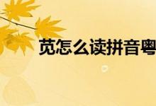 莧怎么讀拼音粵語（莧怎么讀拼音）