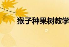 猴子種果樹教學目標（猴子種果樹）