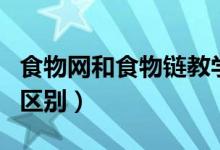 食物網(wǎng)和食物鏈教學(xué)設(shè)計（食物網(wǎng)和食物鏈的區(qū)別）
