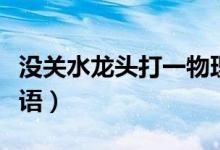 沒關水龍頭打一物理名詞（沒關水龍頭打一成語）