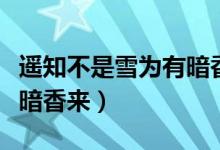 遙知不是雪為有暗香來(lái)讀音（遙知不是雪為有暗香來(lái)）