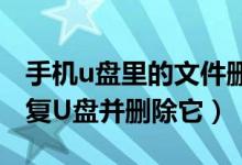 手機u盤里的文件刪不掉該怎么辦（讓我們修復U盤并刪除它）