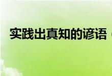 實(shí)踐出真知的諺語（諺語精選之實(shí)踐真知）