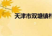 天津市雙塘鎮(zhèn)樸樓小學的地址在哪