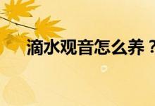滴水觀音怎么養(yǎng)？用什么土養(yǎng)滴水觀音