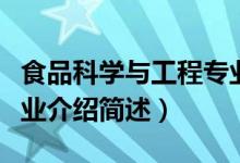 食品科學與工程專業(yè)介紹（食品科學與工程專業(yè)介紹簡述）