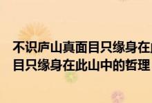 不識(shí)廬山真面目只緣身在此山中的詩(shī)句意思（不識(shí)廬山真面目只緣身在此山中的哲理）