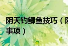 陰天釣鯽魚(yú)技巧(陰天釣鯽魚(yú)的小技巧和注意事項(xiàng))