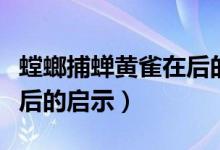螳螂捕蟬黃雀在后的簡(jiǎn)筆畫（螳螂捕蟬黃雀在后的啟示）