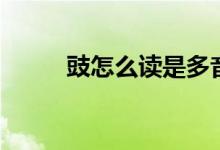 豉怎么讀是多音字嗎(豉怎么讀)