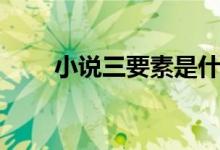 小說(shuō)三要素是什么（包括哪三要素）