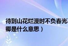 待到山花爛漫時不負(fù)春光不負(fù)卿是什么意思（不負(fù)春光不負(fù)卿是什么意思）