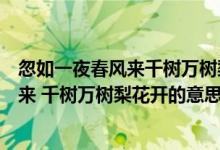 忽如一夜春風(fēng)來(lái)千樹萬(wàn)樹梨花開表達(dá)了什么（忽如一夜春風(fēng)來(lái) 千樹萬(wàn)樹梨花開的意思）