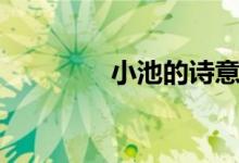 小池的詩意(小池的詩意)