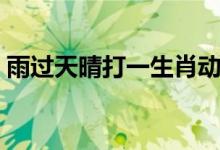 雨過天晴打一生肖動(dòng)物（雨過天晴打一生肖）