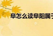 阜怎么讀阜陽屬于哪個?。ǜ吩趺醋x）