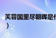 芙蓉國(guó)里盡朝暉是什么意思（芙蓉國(guó)里盡朝暉）