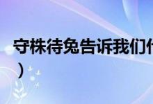 守株待兔告訴我們什么道理（從中能學(xué)到什么）