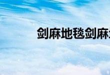劍麻地毯劍麻地毯有什么優(yōu)缺點