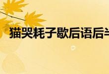 貓哭耗子歇后語(yǔ)后半句（貓哭耗子歇后語(yǔ)）