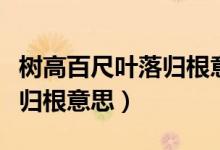 樹高百尺葉落歸根意思二年級(jí)（樹高百尺葉落歸根意思）
