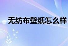 無紡布壁紙?jiān)趺礃樱咳绾芜x擇無紡布壁紙