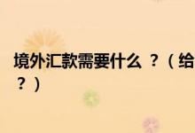 境外匯款需要什么 ？（給不同“海外匯款”都需要哪些信息？）