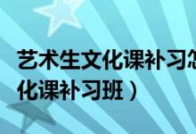 藝術(shù)生文化課補習怎么選(藝術(shù)生怎么選擇文化課補習班)