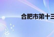 合肥市第十三中學的地址在哪