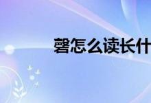 磬怎么讀長(zhǎng)什么樣（磬怎么讀）
