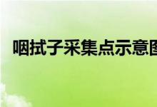 咽拭子采集點(diǎn)示意圖(咽拭子采樣點(diǎn)示意圖)