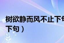 樹欲靜而風(fēng)不止下句是什么（樹欲靜而風(fēng)不止下句）