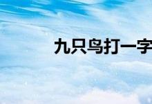 九只鳥(niǎo)打一字（九只鳥(niǎo)打一字）